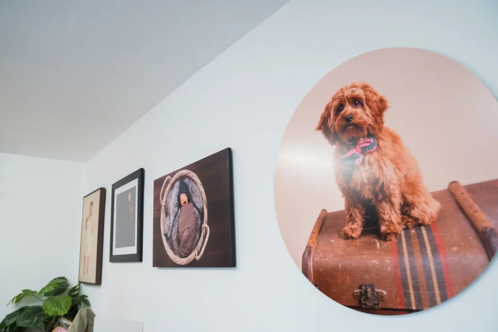 Wall art on the wall of a Preston photography studio